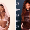 Details Of Alleged Fight Between Megan Thee Stallion & Winnie Harlow Surface